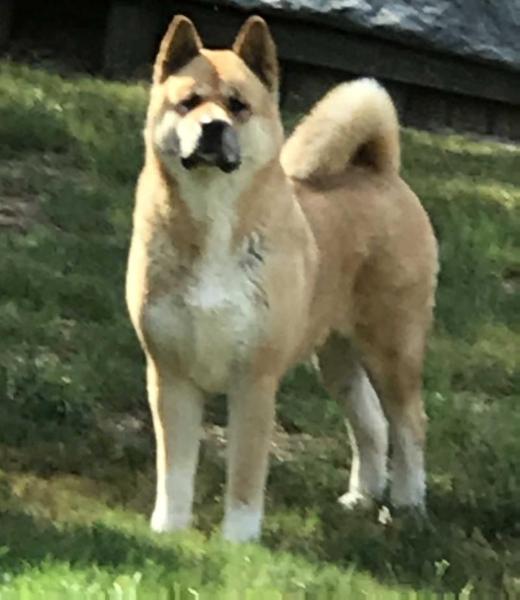 Sovereign's Instant Karma