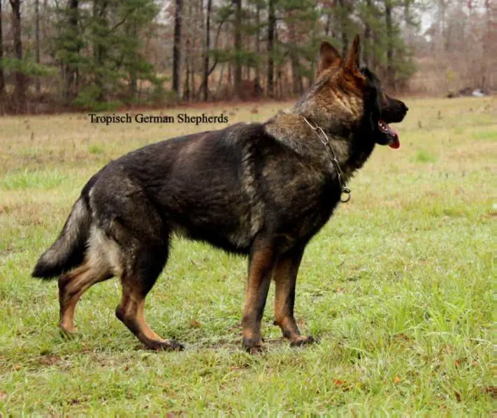 True North's Minka Von Bonnau