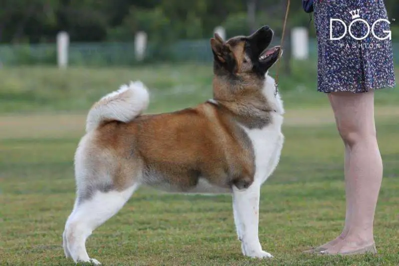 Tan-Ro Gretta Mlada Air