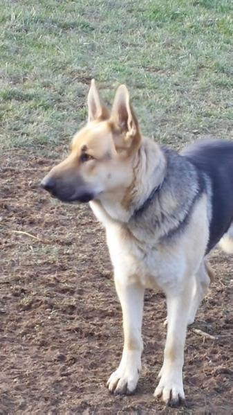 RAINEY KING VON CROSS THUNDER