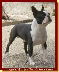 To-Sa's Walker To Victory Lane