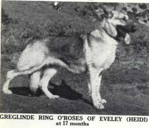 Greglinde Ring O'Roses of Eveley