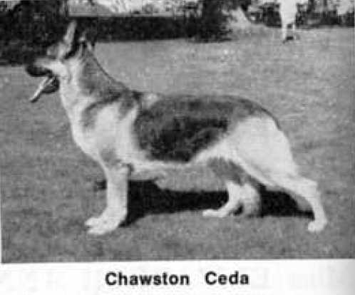 Chawston Ceda