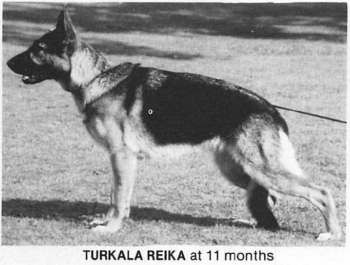 Turkala Reika
