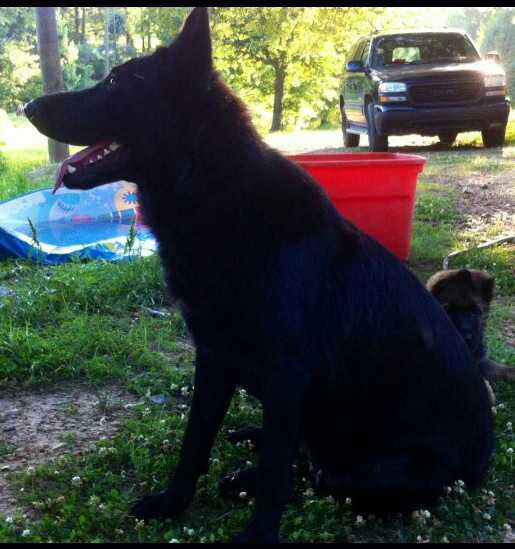 Paris Von Al-zerkani