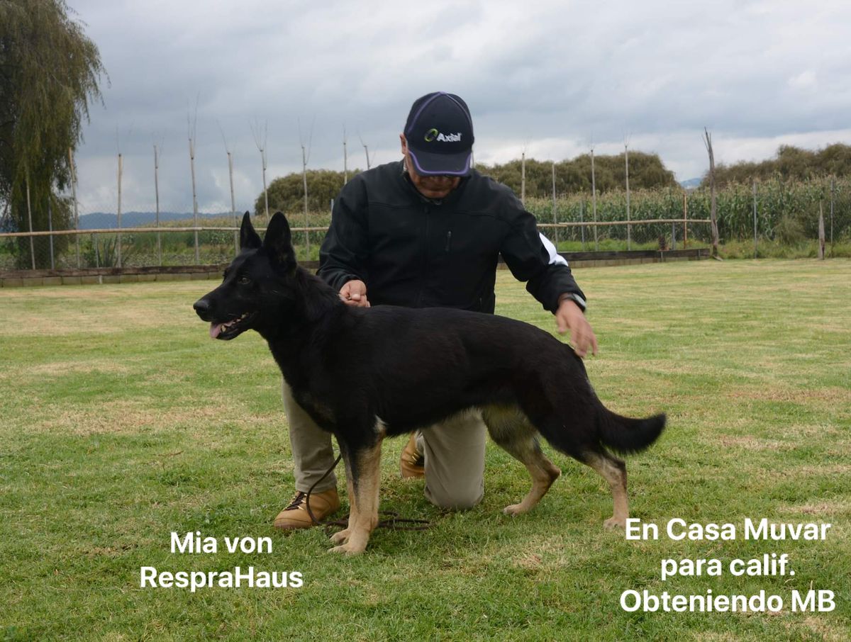 MIA VOM RESPRAHAUS