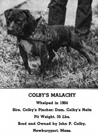 Colby's Malachy