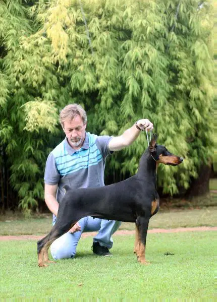 Double D´s Winter Beauty