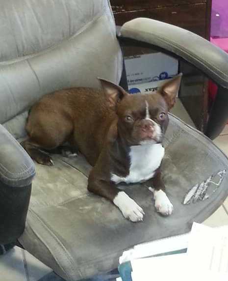 Miss Reba Meek