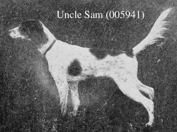 Uncle Sam (005941)