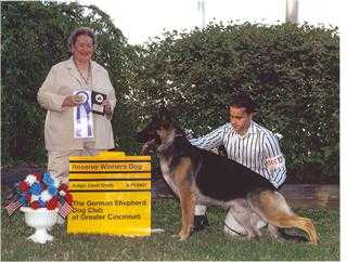 Ch Donka's Johnnie Walker