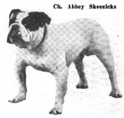 CH Abbey Skeezicks 155398