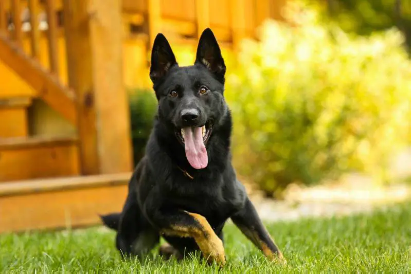 Nante vom Metterursprung