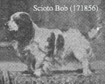Scioto Bob (171856)