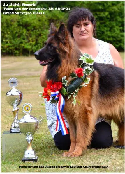 V Velen von der Zenteiche