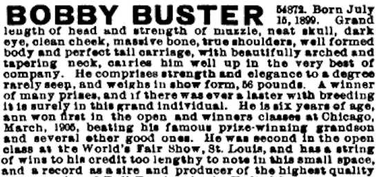 Bobby Buster 054872 vXX