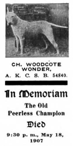 Woodcote Wonder (054840)