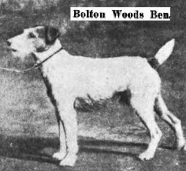 Bolton Woods Ben