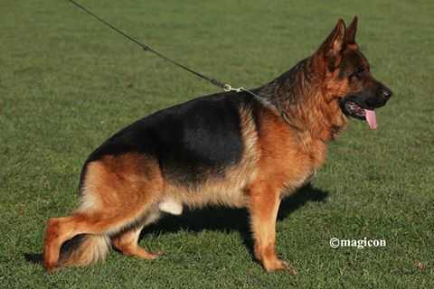 V Red Bull von der Noriswand