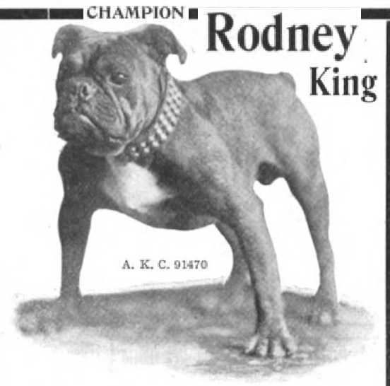 Rodney King 091470 or 091470 vXXII