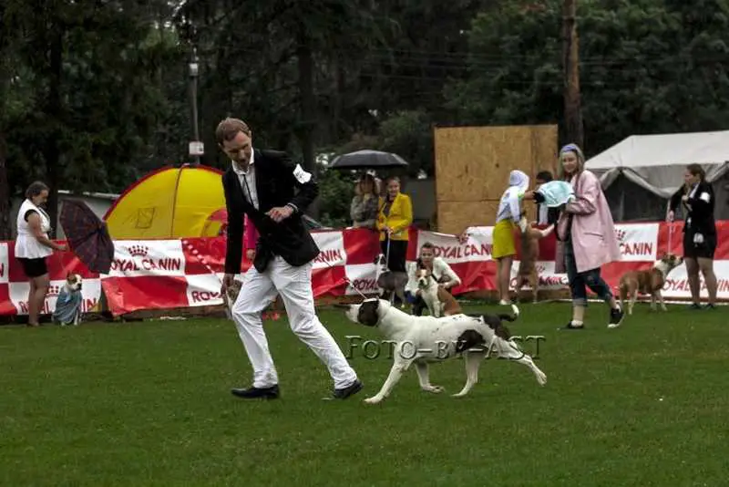 Toir-Prestizh Shik Blesk Krasota