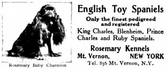 Rosemary Baby Charmion (c.1908)
