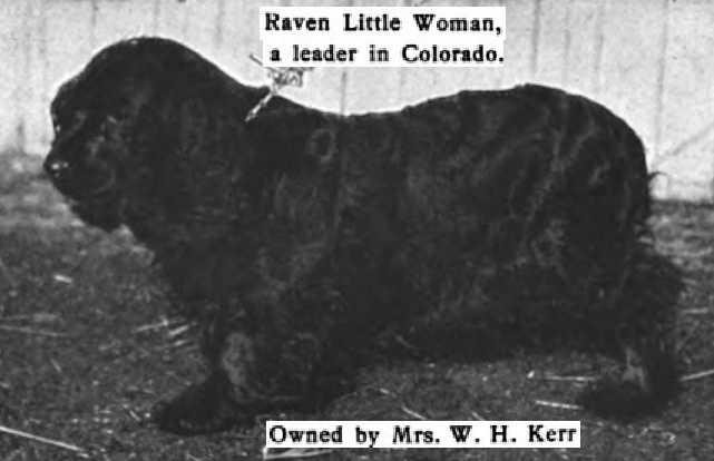 Raven Little Woman (c.1906)