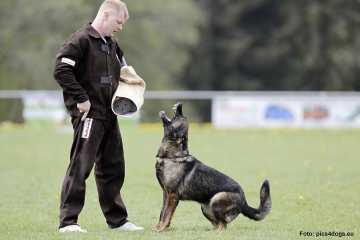 SG Juma vom Waldhäuser Schloß