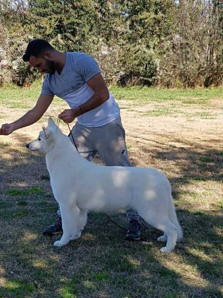 CH CH, JCH CH Indira De La Condesa Del Alba