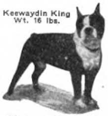 Keewaydin King 303725 vXXXVII