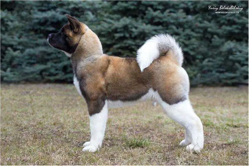 Dynamic Force Cut Me Some Slack