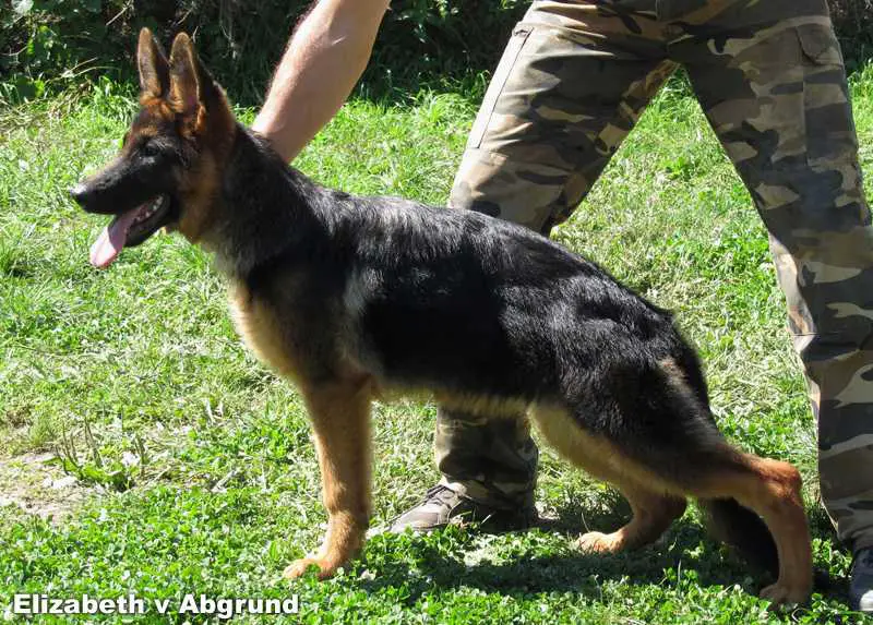 Elizabeth von Abgrund