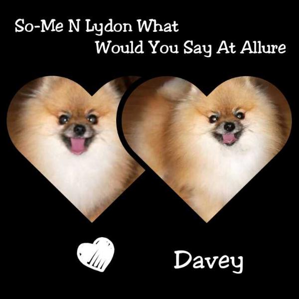 So-Me N Lydon What Would You Say At Allure