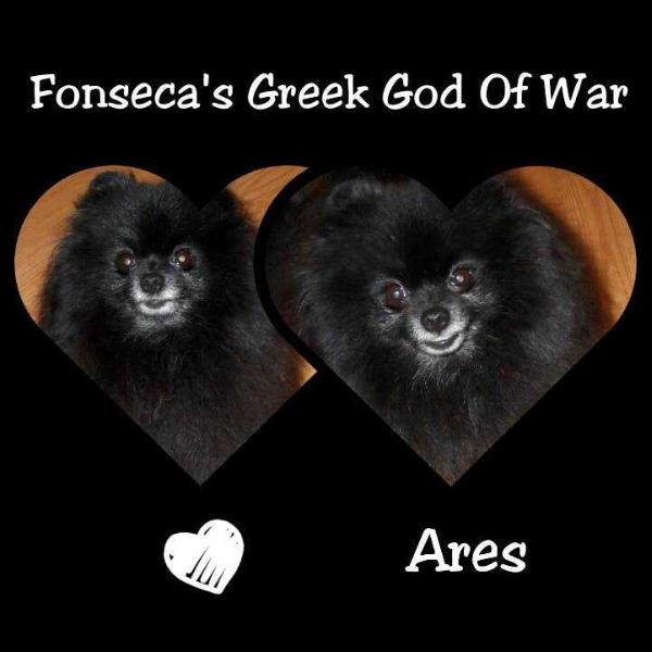 Fonseca's Greek God Of War