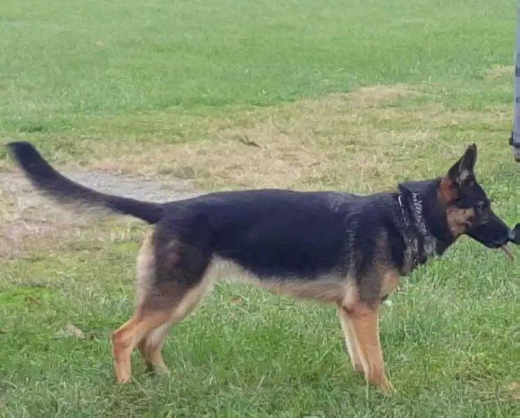 Bh Asia vom Aveyhaus