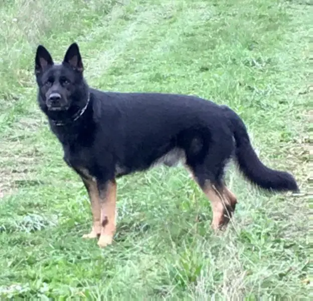 Vulker Von Schraderhaus