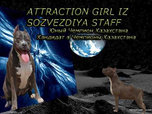 CH J KAZ ATTRACTION GIRL IZ SOZVEZDIYA STAFF