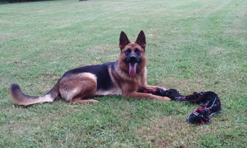 Athena Von Brotherton