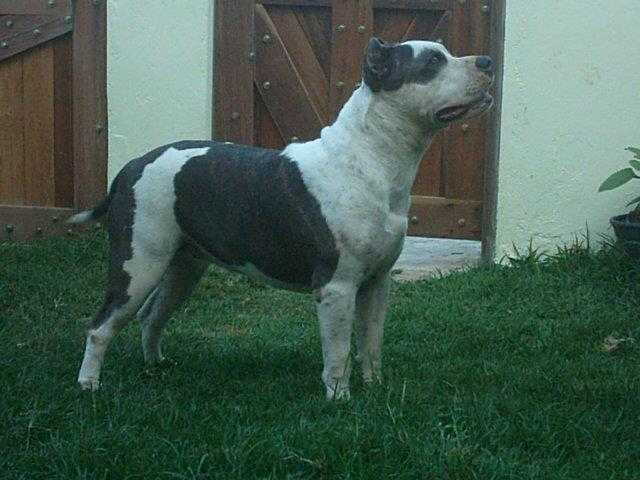 Brisa do Alto de Itapoan