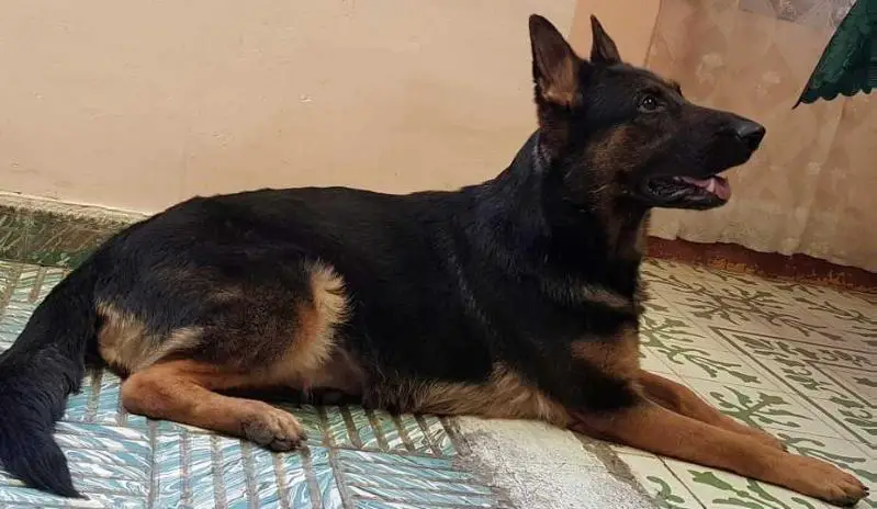 CAB2 ATENEA VON UNUBERTREFFLICH