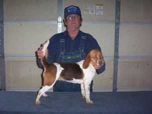Scrogham's Red Ruby