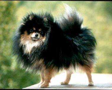 DREAMCASTLES ROKN RND THE CLOCK