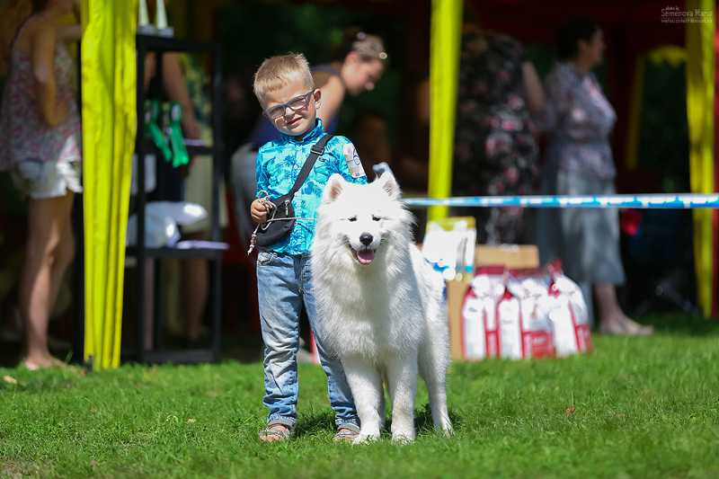 CH J RUS, CH RUS, RKF, CLUB WINNER, GRAND RUS BELOE CHUDO MIRABELLA
