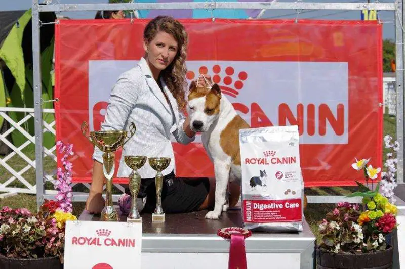 CH Millenium Staff Anduril Flame Of The West