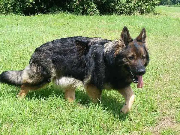 Fairytale von El Dorado