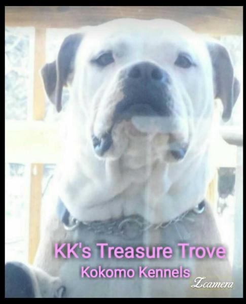Kk's Treasure Trove