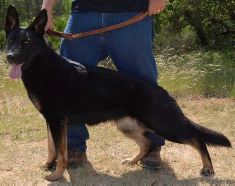 Amy-Lotty Galan Slovakia