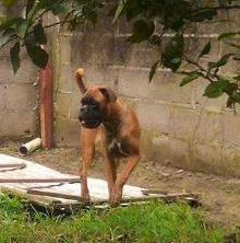 Kendra (Bolaños)