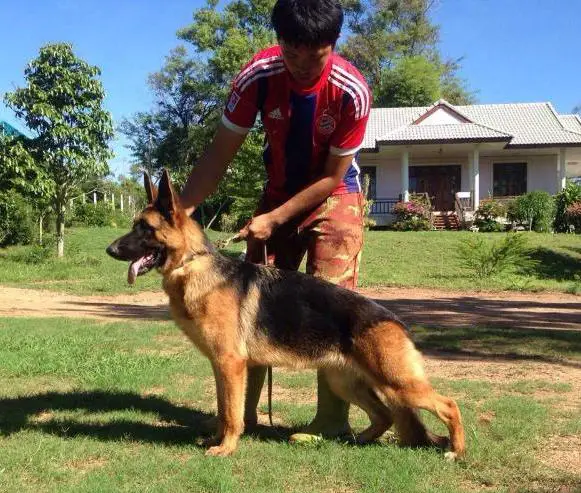 Vanta von Der Pakchong