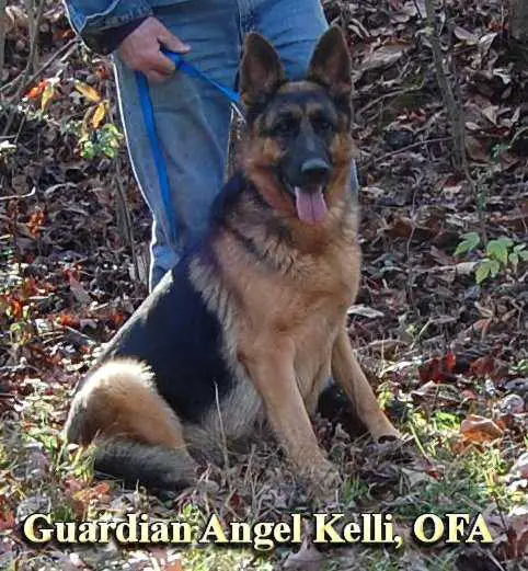Guardian Angel Kelli